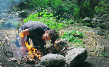 Instinct de survie